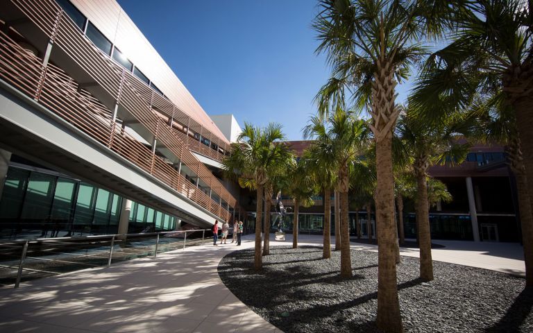 University of South Carolina photo 5