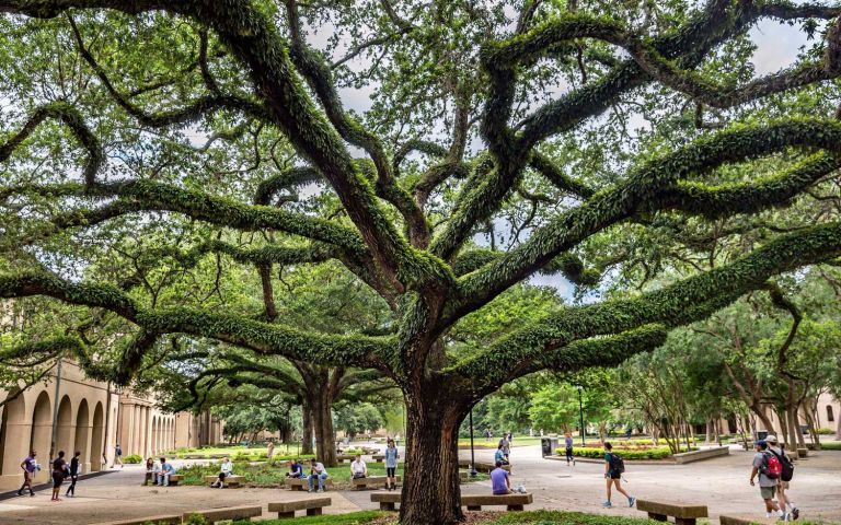 Louisiana State University photo 1