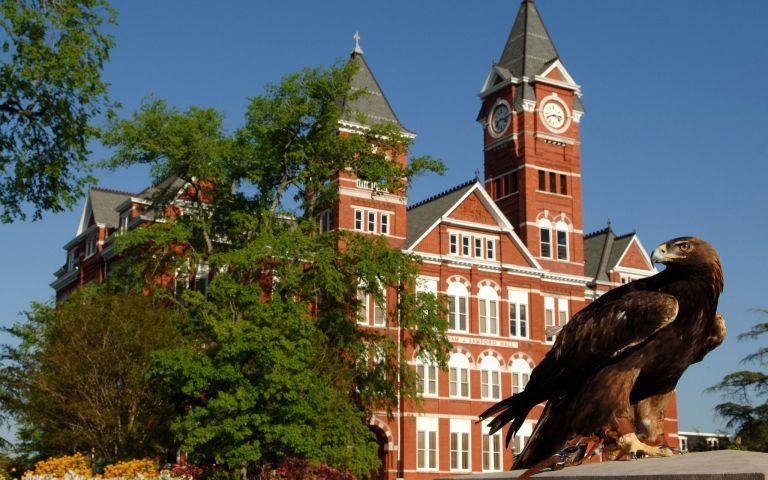 Auburn University photo 2