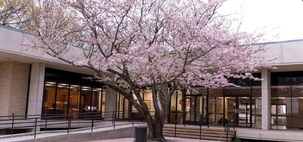 Arkansas State University campus