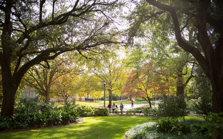 University of South Carolina photo 1