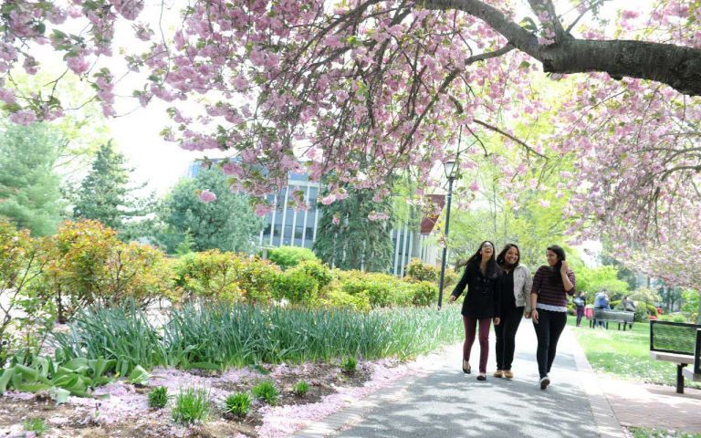 Adelphi University photo 2