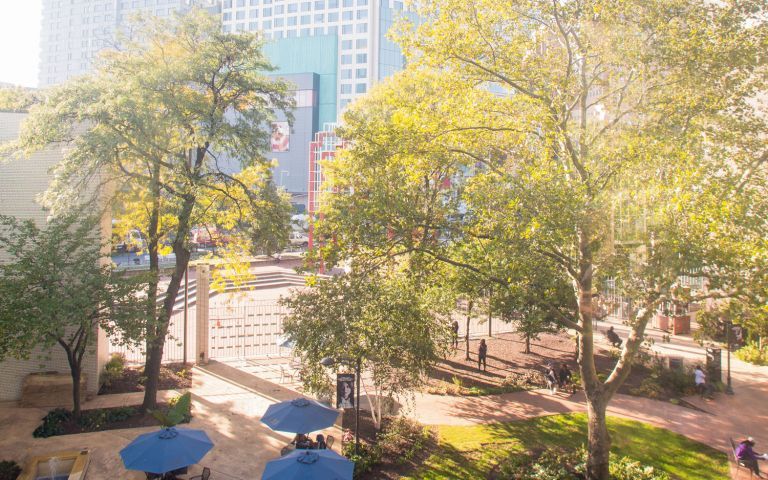Long Island University Brooklyn photo 6