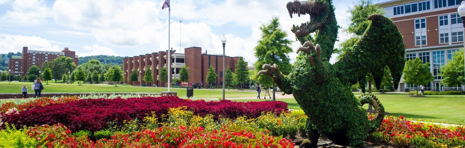 University of Alabama Birmingham campus
