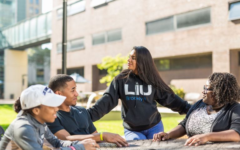 Long Island University Brooklyn photo 1