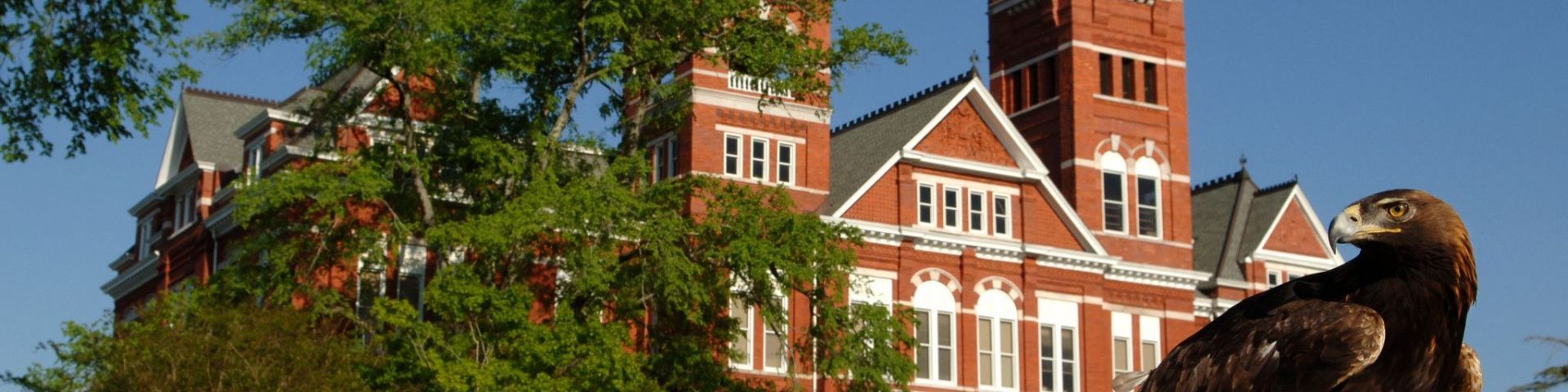 Auburn University campus