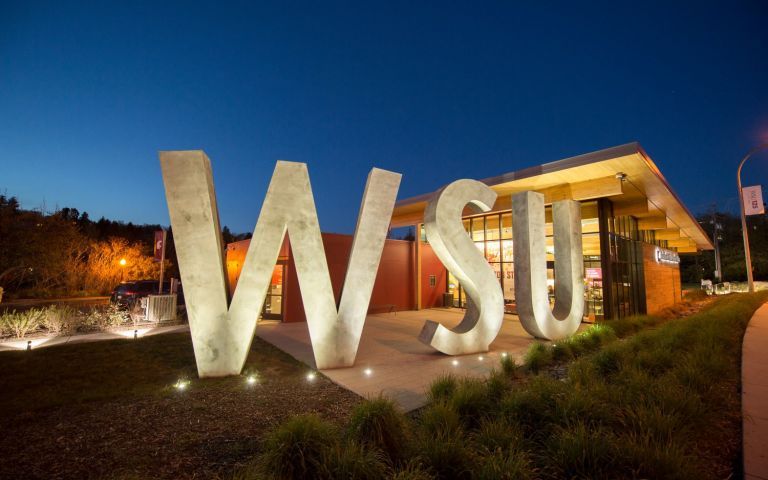 Washington State University photo 1