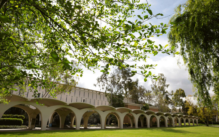 University of California Riverside photo 4