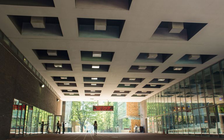 Long Island University Brooklyn photo 4