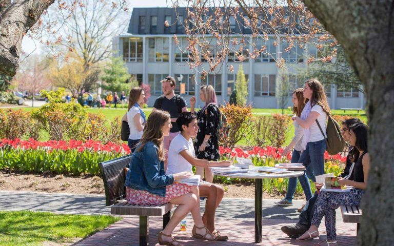 Adelphi University photo 1