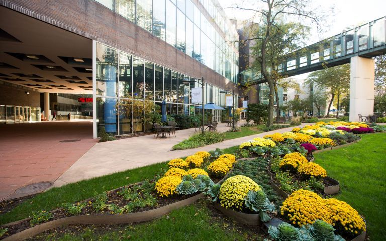 Long Island University Brooklyn photo 2