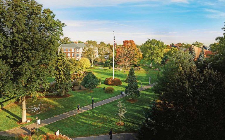 Adelphi University photo 5