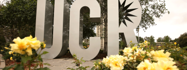 UC Riverside campus sign surrounded by yellow flowers.